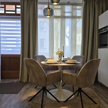 Apart Studio Suites Dessau-Roslau - Boutique Design Im Kulturdenkmal - Voll Ausgestattet - Kostenloses Parken Und Wlan - Zentral Und Ruhig - Hundefreundlich - Familie - Paare - Long Stay Und Business شقة