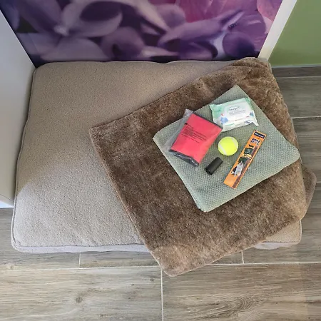Apartament - Klimaanlage Whirpool Panoramafenster 5 Personen Kulturdenkmal Dessau-Rosslau