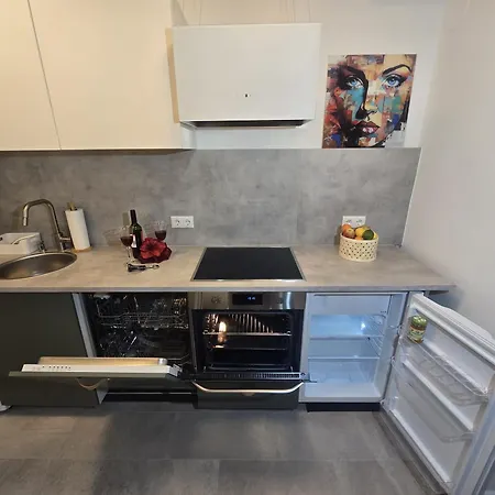 Apart Studio Suites Dessau-Roslau - Boutique Design Im Kulturdenkmal - Voll Ausgestattet - Kostenloses Parken Und Wlan - Zentral Und Ruhig - Hundefreundlich - Familie - Paare - Long Stay Und Business شقة Dessau-Rosslau