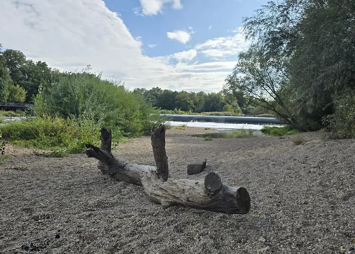 - Boutique Design In *