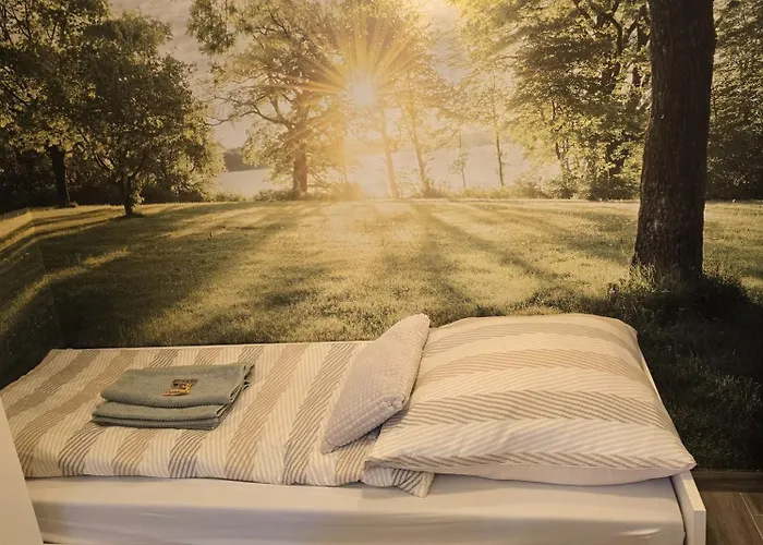 - Boutique Design In Dessau-Rosslau