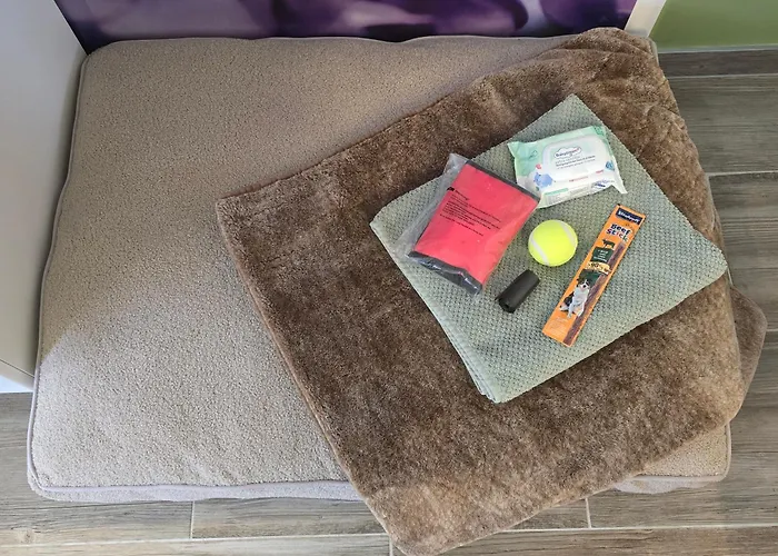 شقة - Boutique Design In Dessau-Rosslau