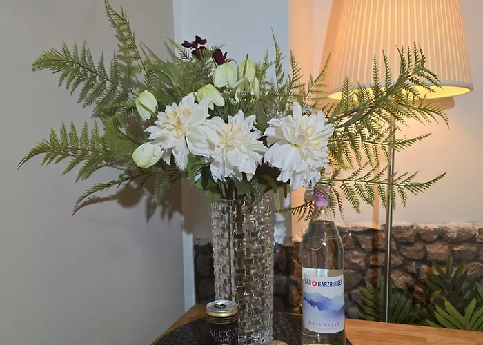 Apartment - Dessau-roßlau Free Parking *